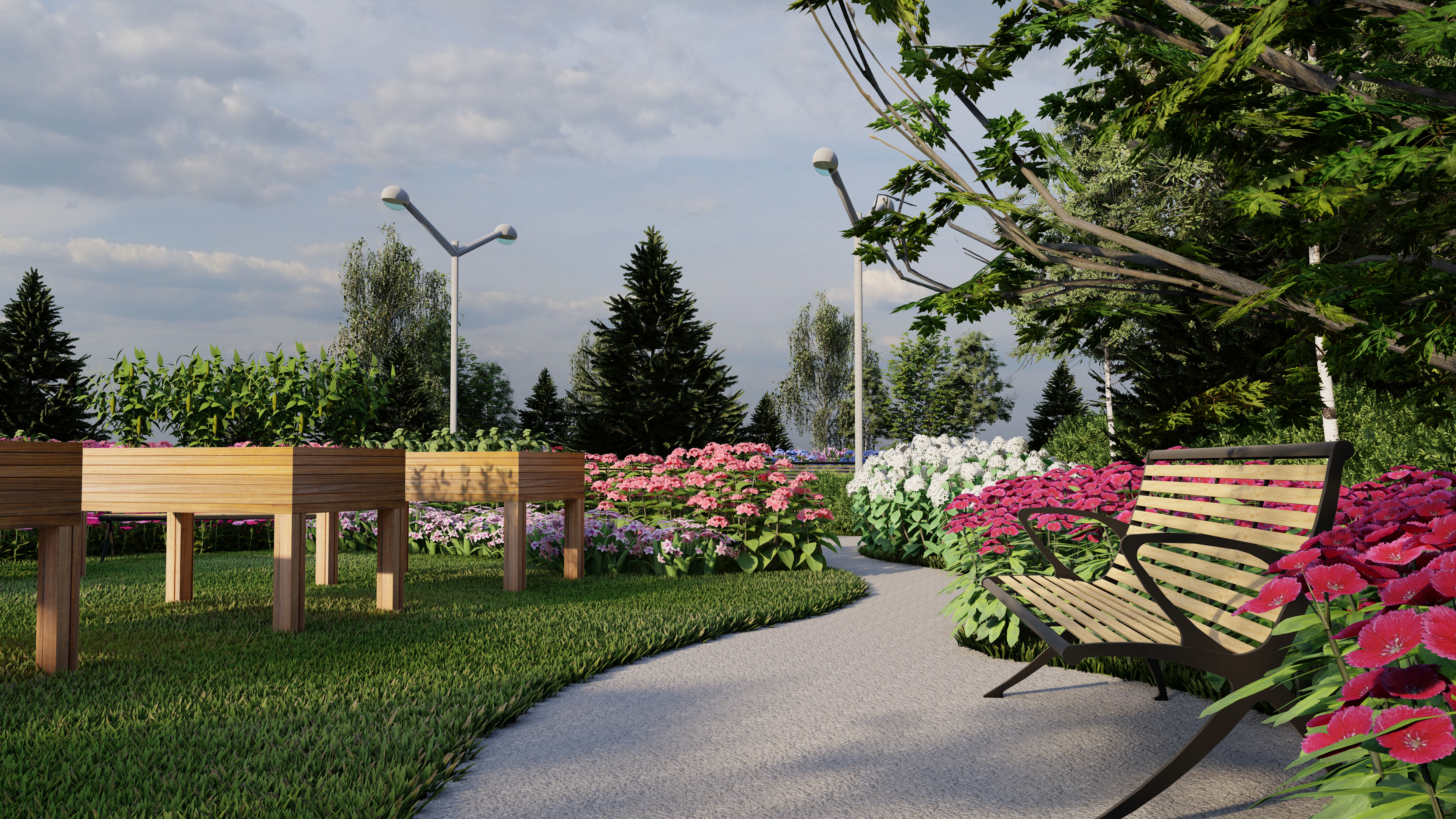 LG4-OMH BROCHU-IMAGE 3